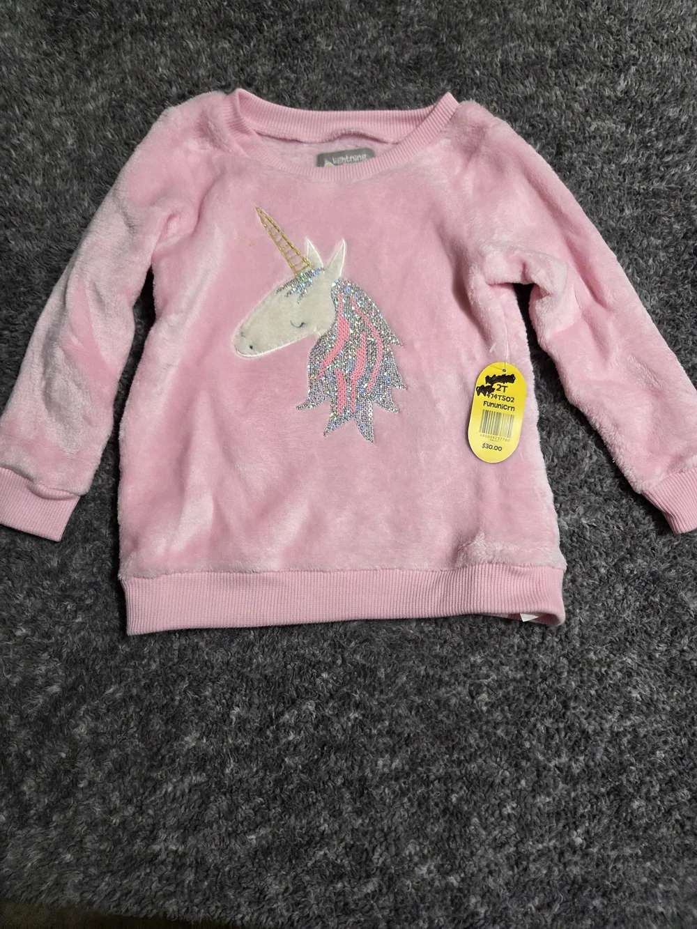 Pink Plush Unicorn Sweatshirt for Kids